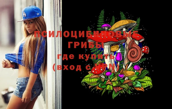 винт Липки