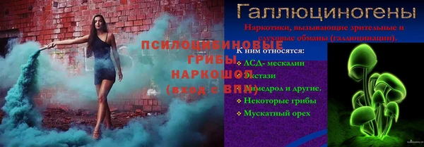 гидра Лиски