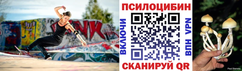 Купить Кузнецк Галлюциногенные грибы Magic Shrooms